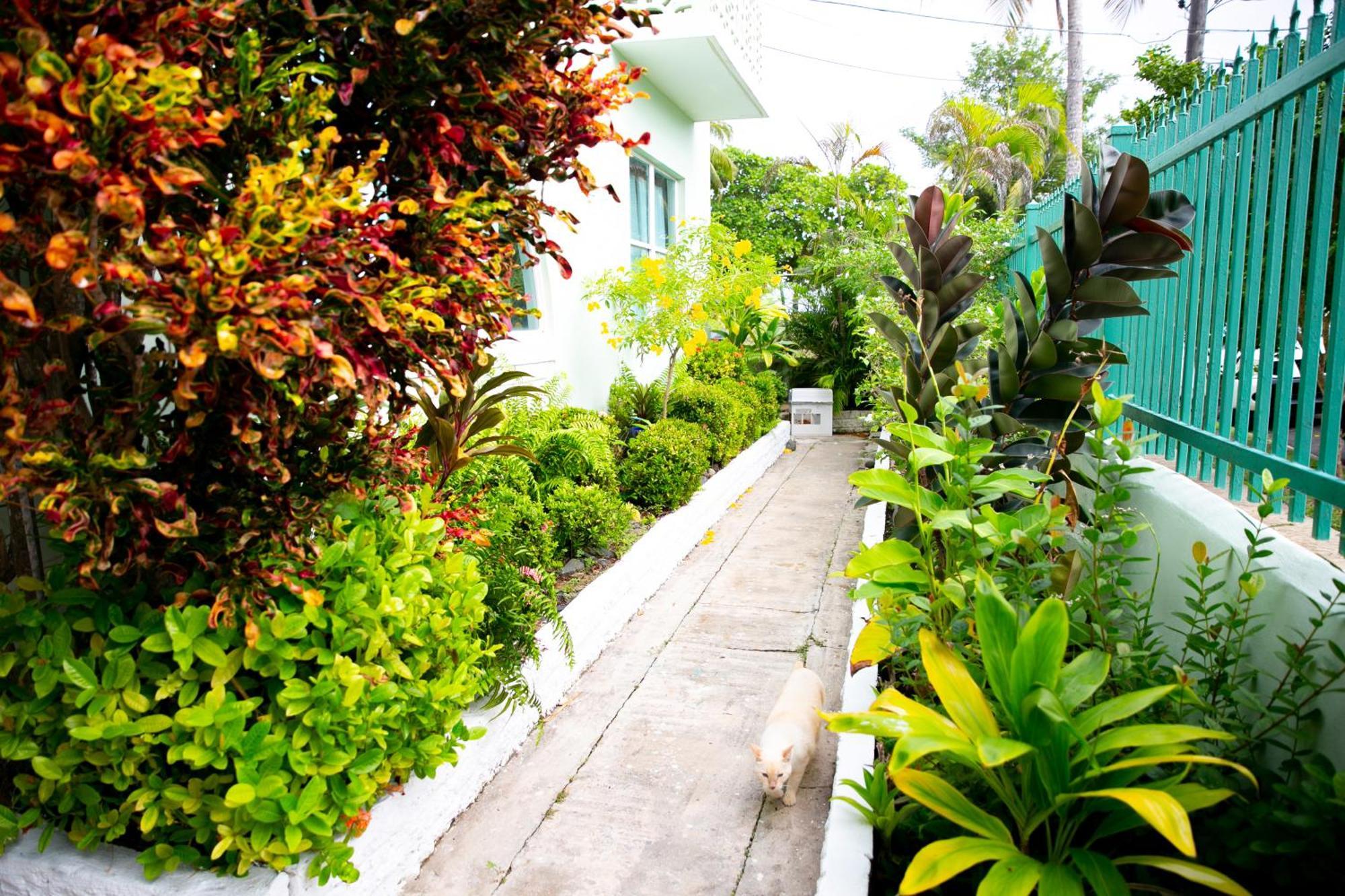 Numero Uno Beach Apartments San Juan Ngoại thất bức ảnh